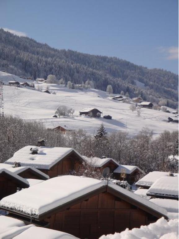 Studio Route Des Essertets - 3 Praz-sur-Arly Exterior foto